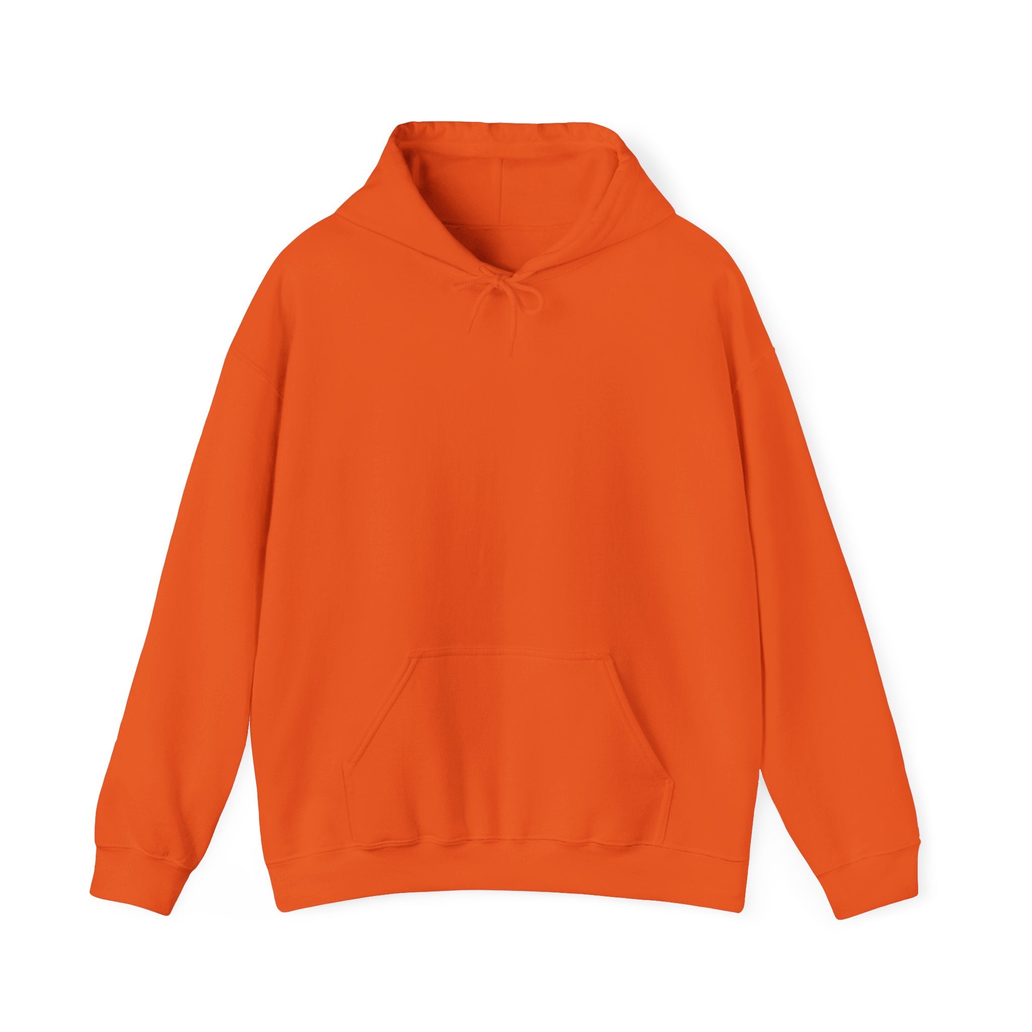 Denver Bronco Pullover Hoodie Fan Gear |Exclusive Colorful Broncorado® Logo